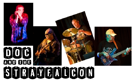 Doc & The Strayfalcon