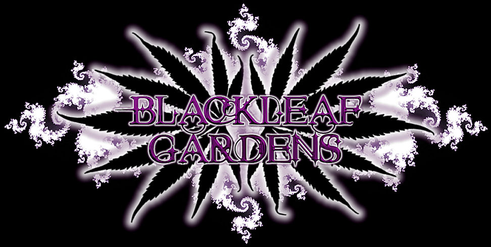 Blackleaf Gardens