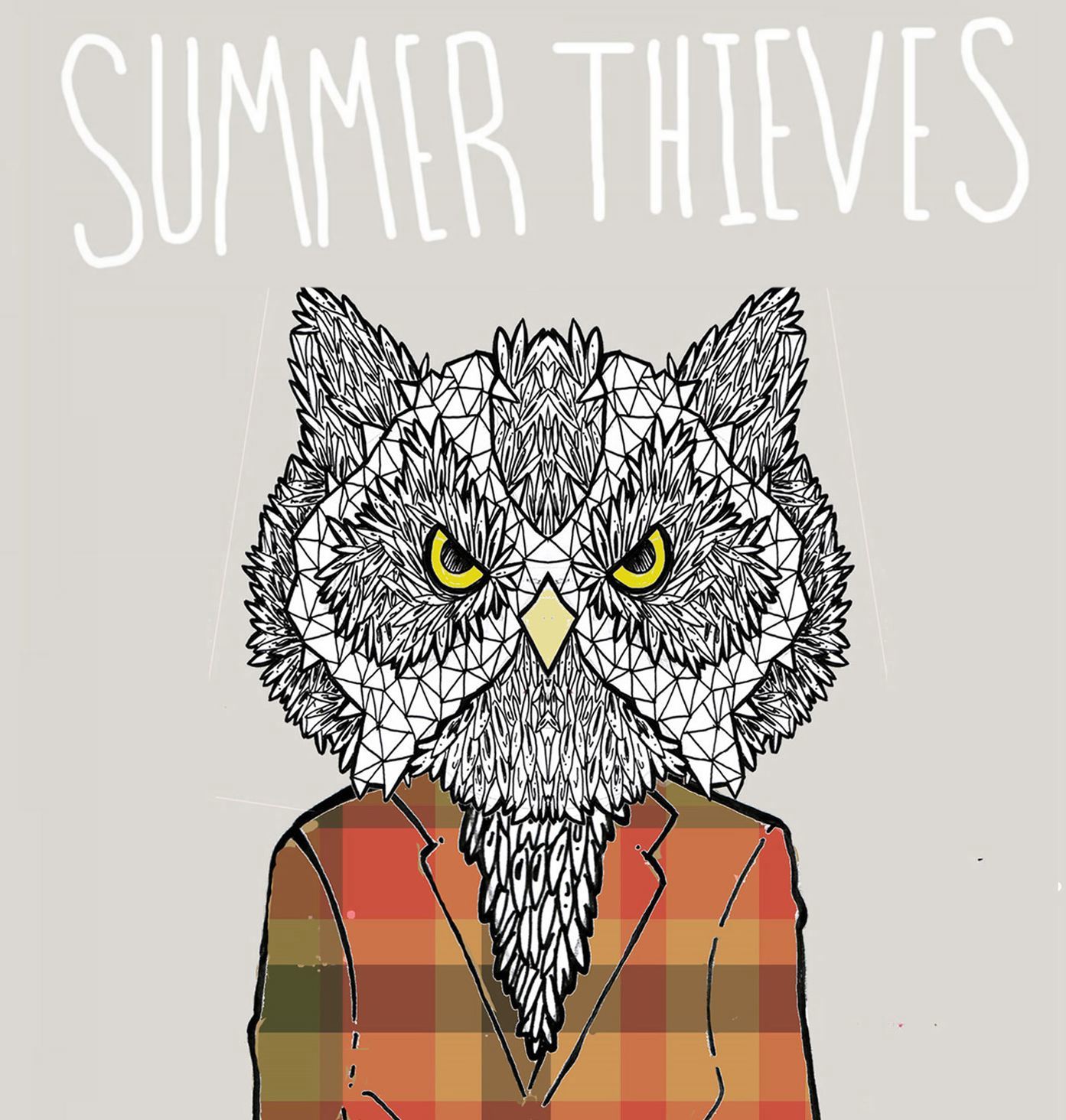Summer Thieves