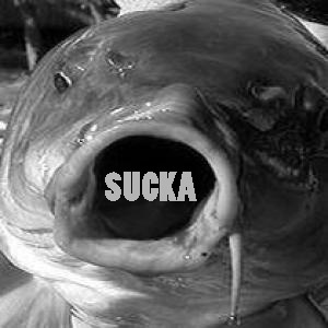 Suckafish