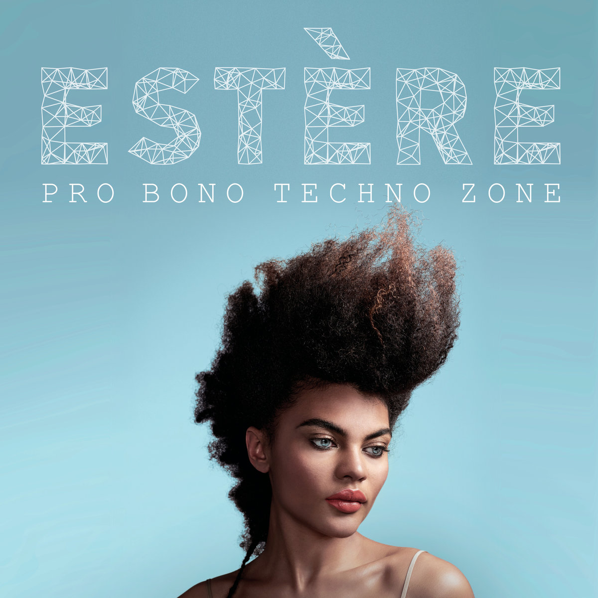 Pro Bono Techno Zone