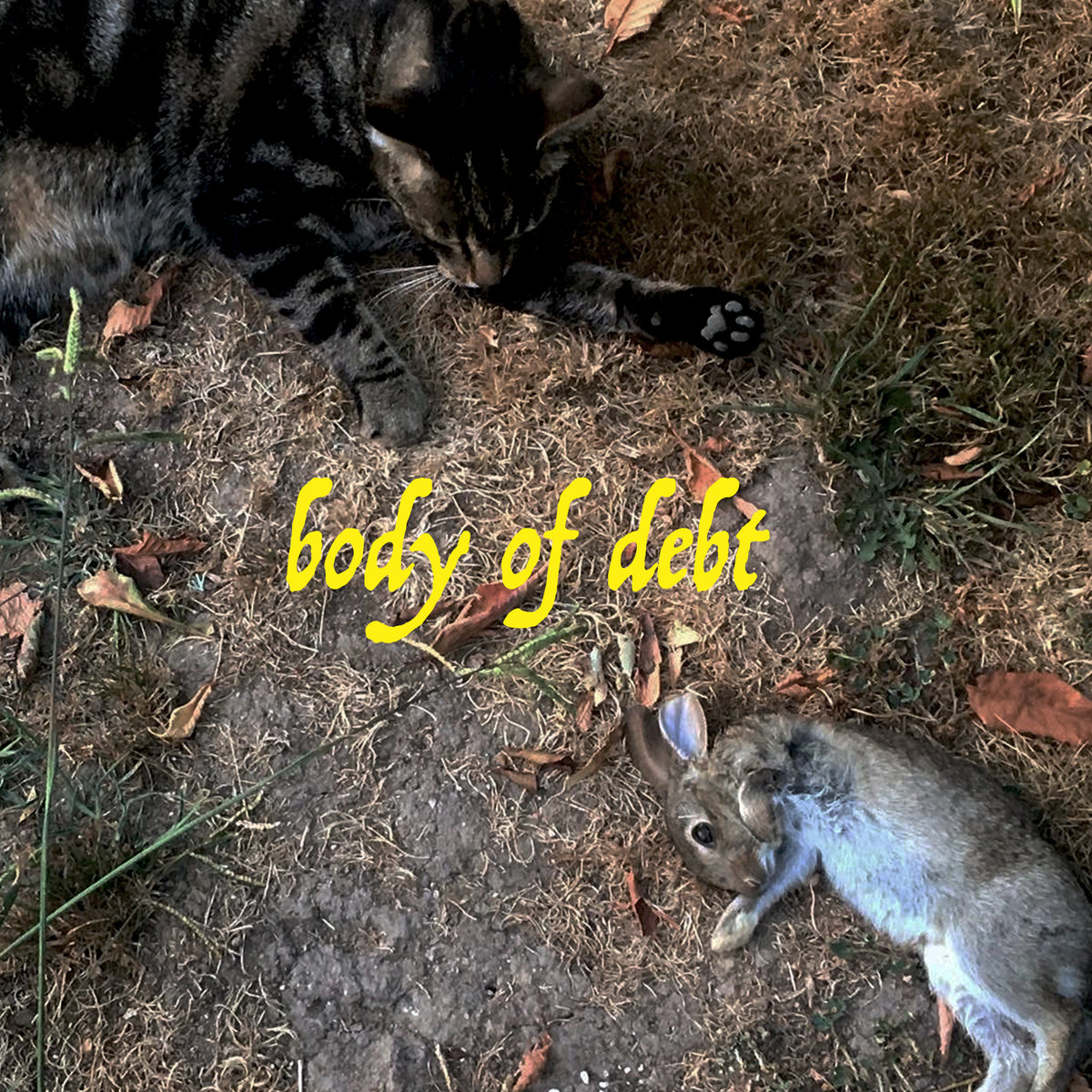 Body of Debt [live]
