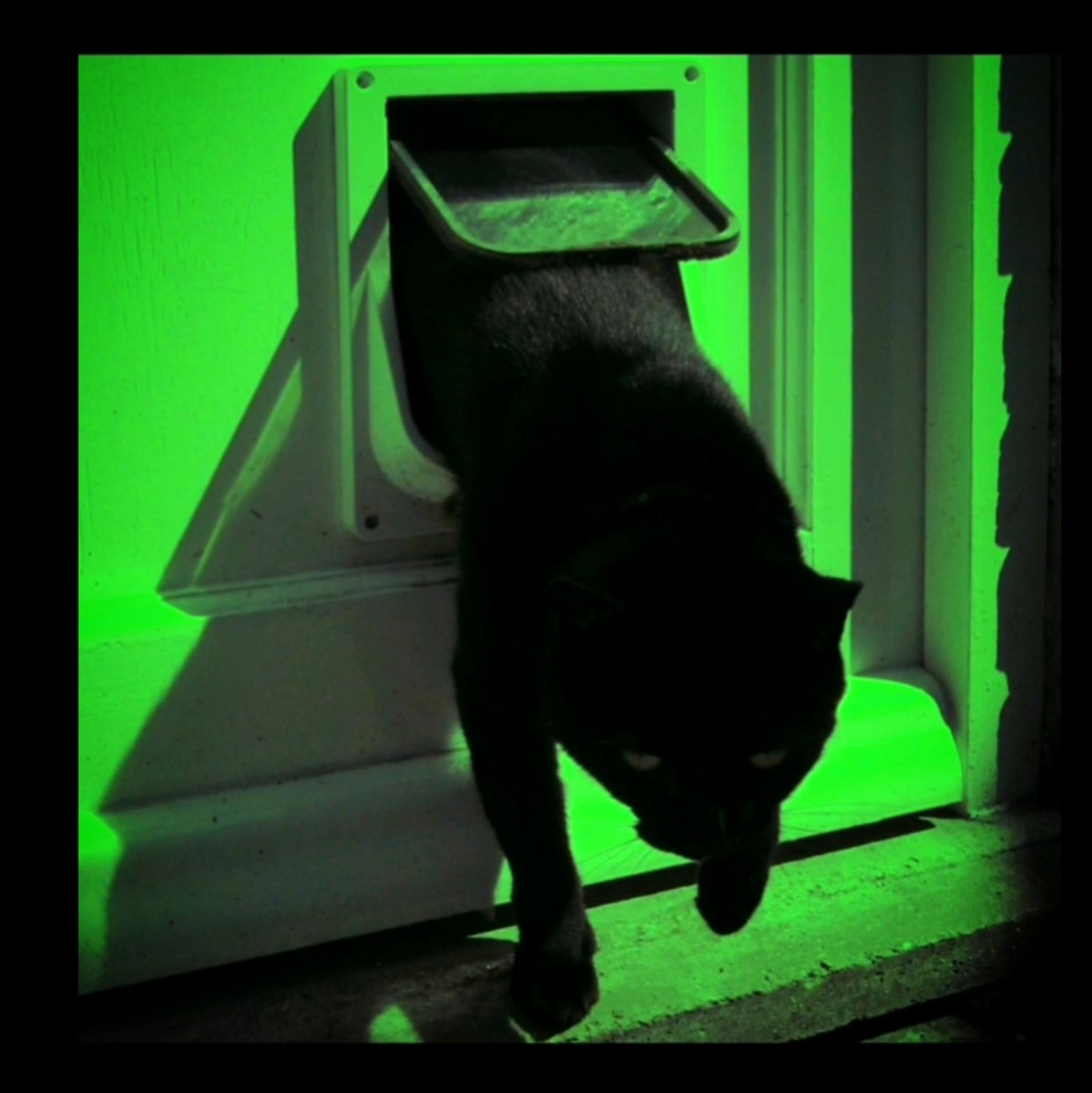 Cat Door (eDIT)
